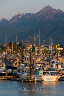 Homer Harbor